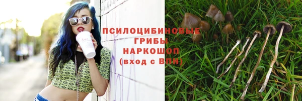 ALPHA PVP Армянск