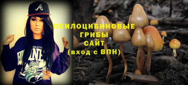 ALPHA-PVP Аркадак